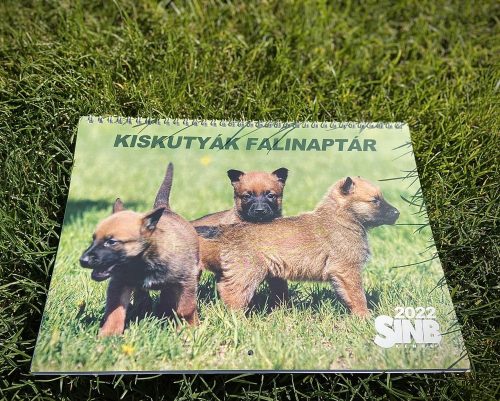 PUPPY Calender 2022