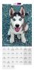 PUPPY Calender 2024