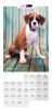 PUPPY Calender 2024