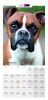 PUPPY Calender 2024