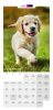 PUPPY Calender 2024