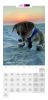 PUPPY Calender 2024