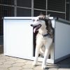 [IF-RH_P] Cușcă câine cu încălzire infraroșu Thermo RENATO