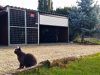 Magazie de grădină Woody 3x3m, deschis în față