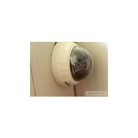 [WCAM] Cameră de supravegheat puii